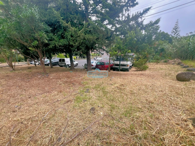 Negócio para Venda em Faial Foto 9