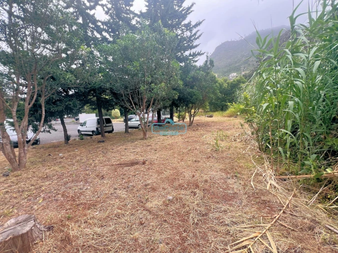 Negócio para Venda em Faial Foto 8