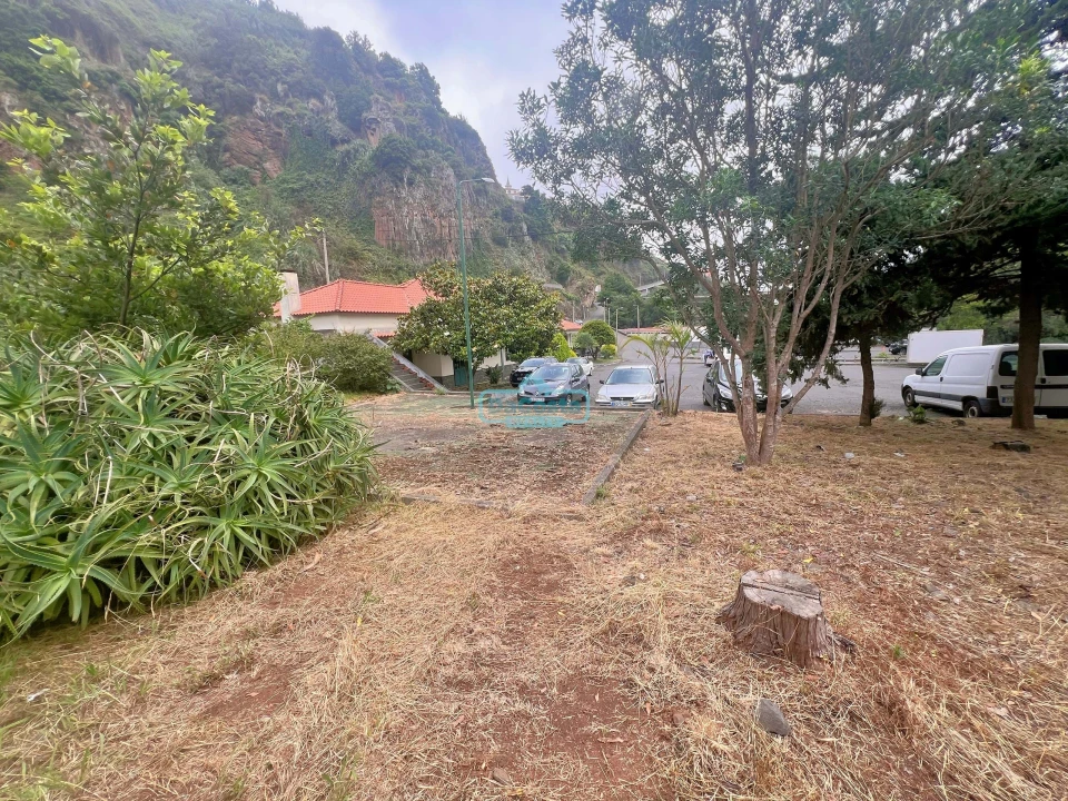 Negócio para Venda em Faial Foto 7