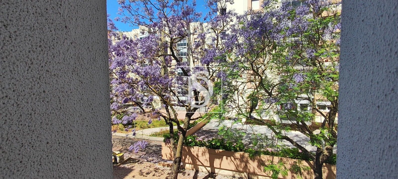 Escritório para Venda em Lumiar Foto 3