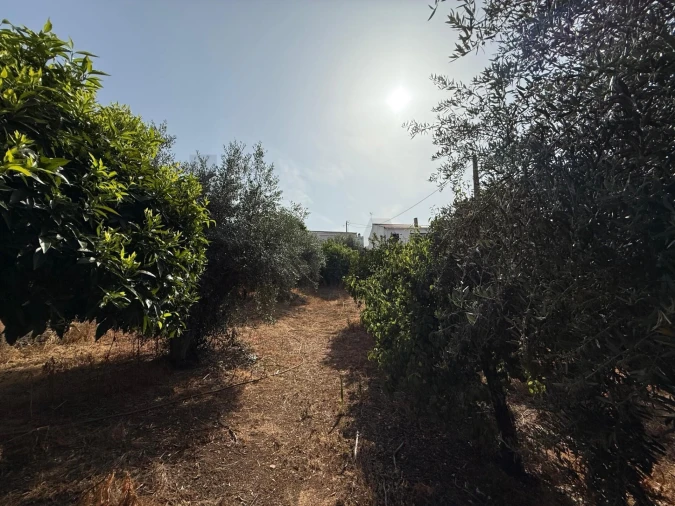 Moradia T4 para Venda em Odivelas Foto 53