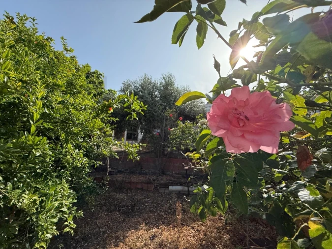 Moradia T4 para Venda em Odivelas Foto 51