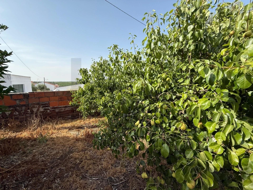 Moradia T4 para Venda em Odivelas Foto 52