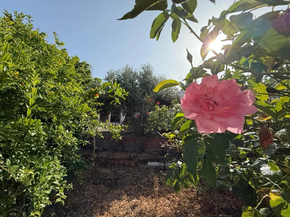 Moradia T4 para Venda em Odivelas Foto 51