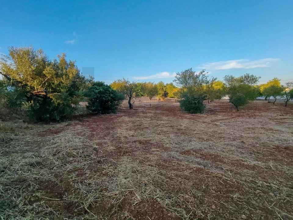 Moradia T3 para Venda em Pechão Foto 18