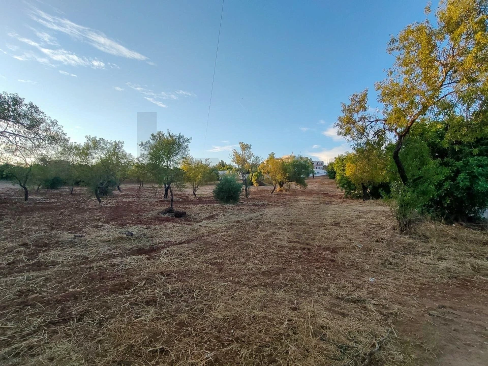 Moradia T3 para Venda em Pechão Foto 20