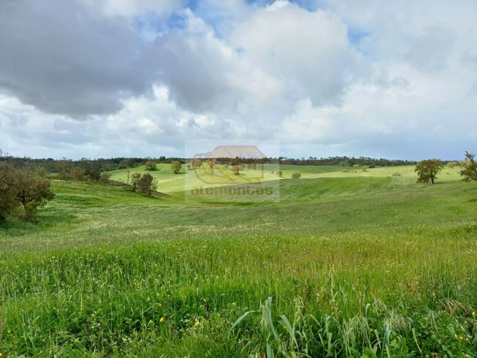 Terreno Misto para Venda em Santiago do Cacém, Santa Cruz e São Bartolomeu da Serra Foto 6
