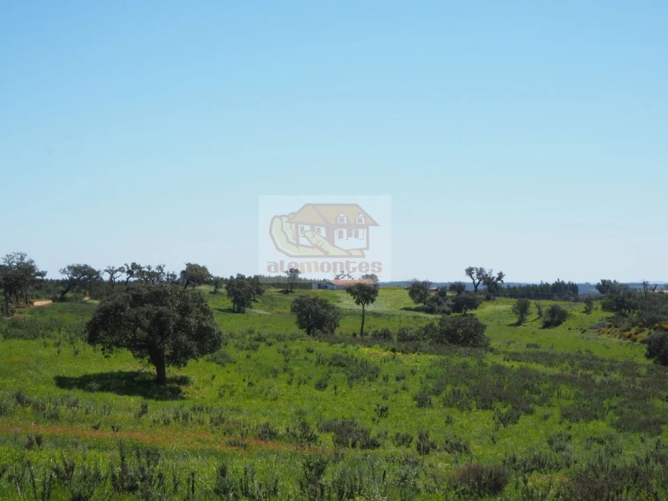 Terreno Misto para Venda em Santiago do Cacém, Santa Cruz e São Bartolomeu da Serra Foto 4