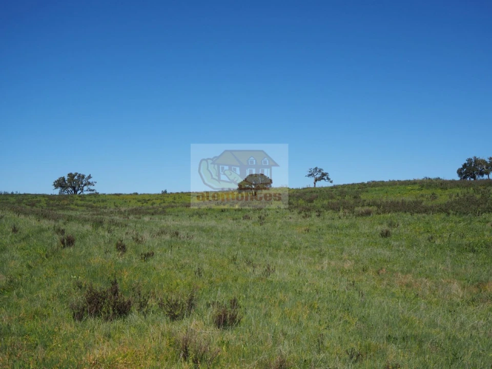 Terreno Misto para Venda em Santiago do Cacém, Santa Cruz e São Bartolomeu da Serra Foto 3