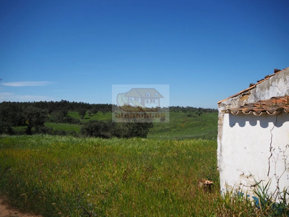 Terreno Misto para Venda em Santiago do Cacém, Santa Cruz e São Bartolomeu da Serra Foto 2