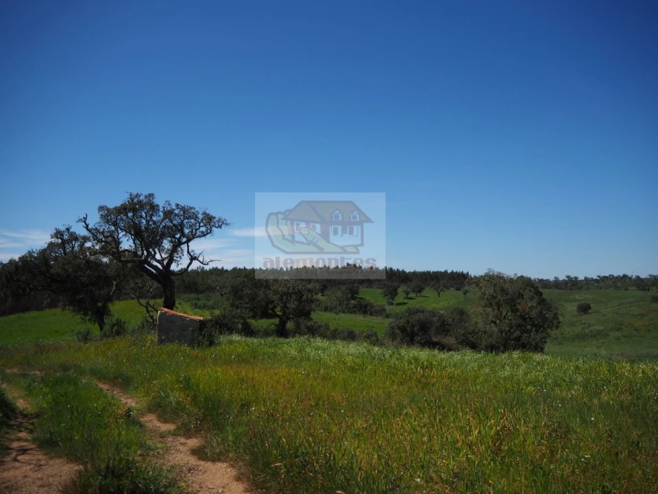 Terreno Misto para Venda em Santiago do Cacém, Santa Cruz e São Bartolomeu da Serra Foto 13