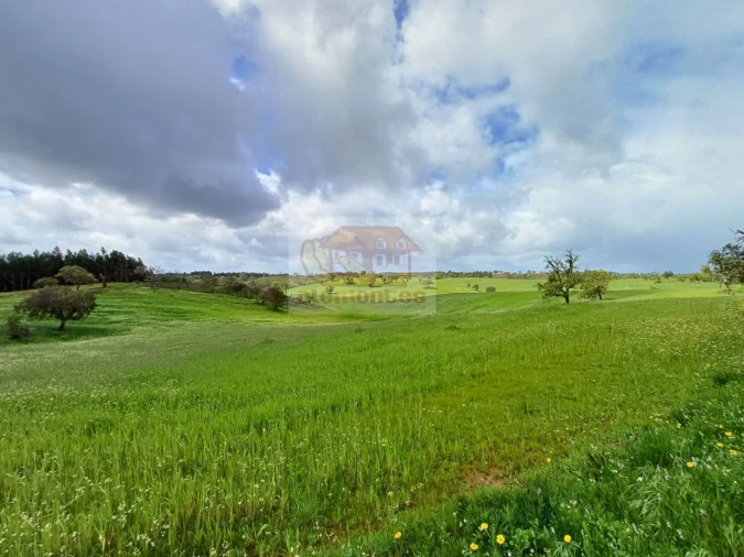 Terreno Misto para Venda em Santiago do Cacém, Santa Cruz e São Bartolomeu da Serra Foto 7