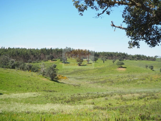 Terreno Misto para Venda em Santiago do Cacém, Santa Cruz e São Bartolomeu da Serra Foto 9