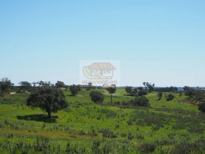 Terreno Misto para Venda em Santiago do Cacém, Santa Cruz e São Bartolomeu da Serra Foto 4