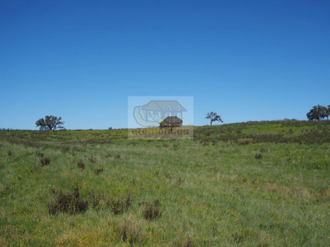 Terreno Misto para Venda em Santiago do Cacém, Santa Cruz e São Bartolomeu da Serra Foto 3