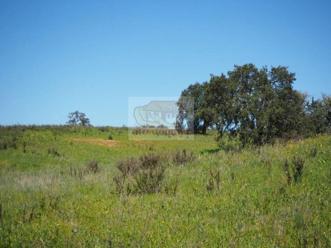 Terreno Misto para Venda em Santiago do Cacém, Santa Cruz e São Bartolomeu da Serra Foto 10
