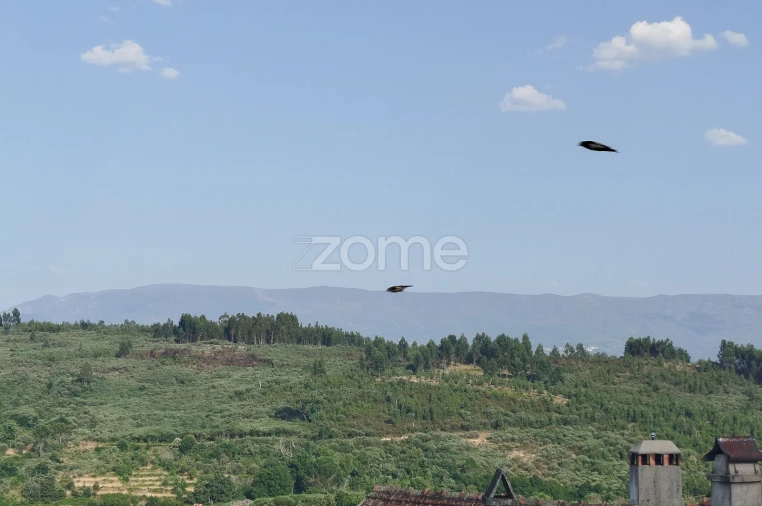 Moradia T3 para Venda em Cunha Baixa Foto 12