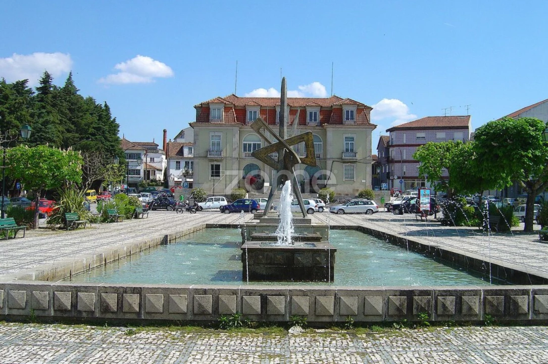 Negócio para Venda em Nelas Foto 15