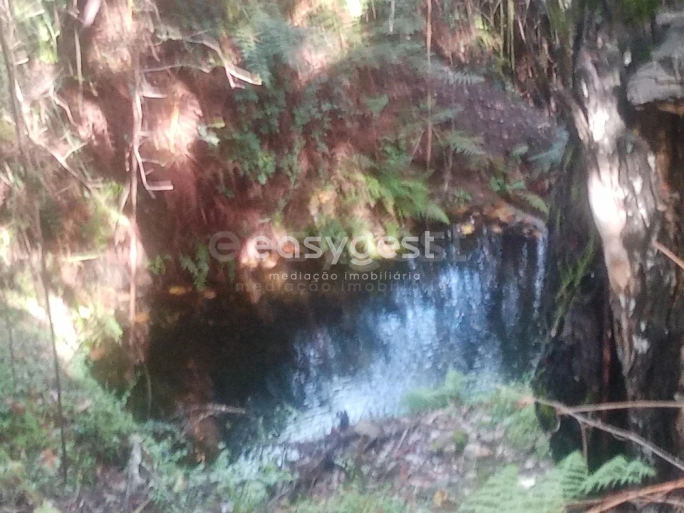 Quinta T5 para Venda em Oleiros-Amieira Foto 26