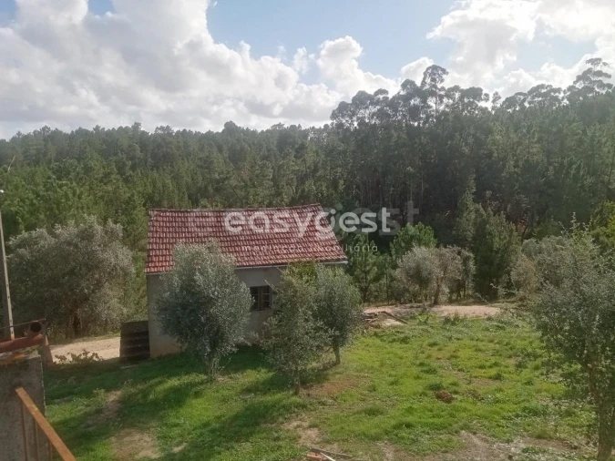 Quinta T5 para Venda em Oleiros-Amieira Foto 5