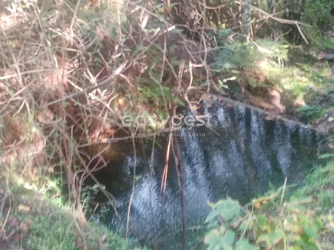 Quinta T5 para Venda em Oleiros-Amieira Foto 25