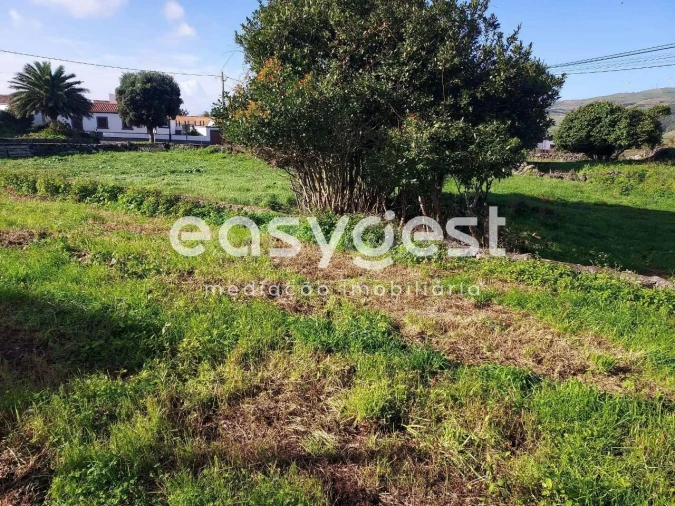 Terreno Agricola ou Rústico para Venda em Luz Foto 7