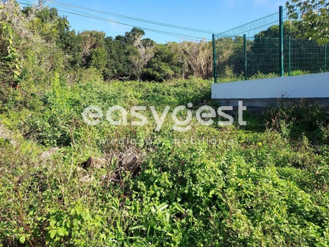 Terreno Agricola ou Rústico para Venda em Luz Foto 10