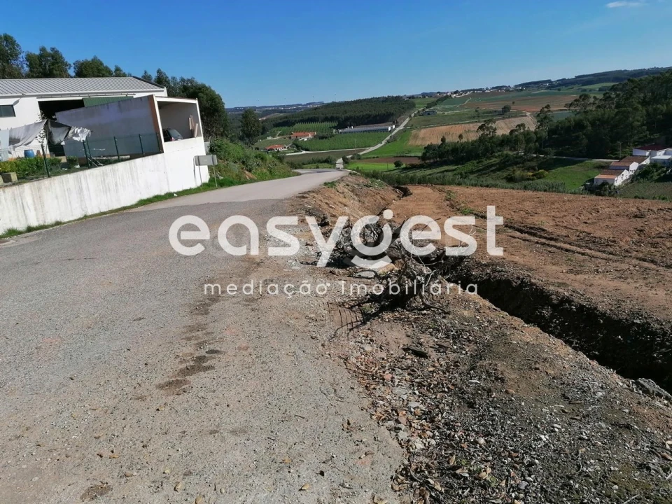 Terreno Agricola ou Rústico para Venda em Miragaia e Marteleira Foto 4