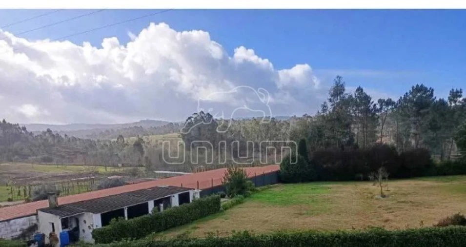 Terreno para Venda em Fragoso Foto 3