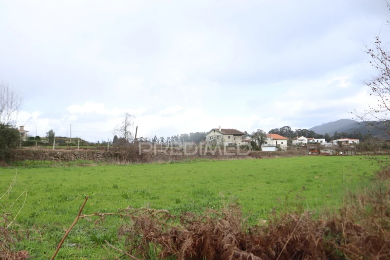 Terreno para Venda em Coucieiro Foto 9