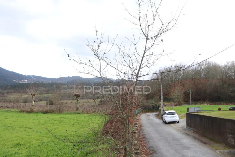 Terreno para Venda em Coucieiro Foto 6
