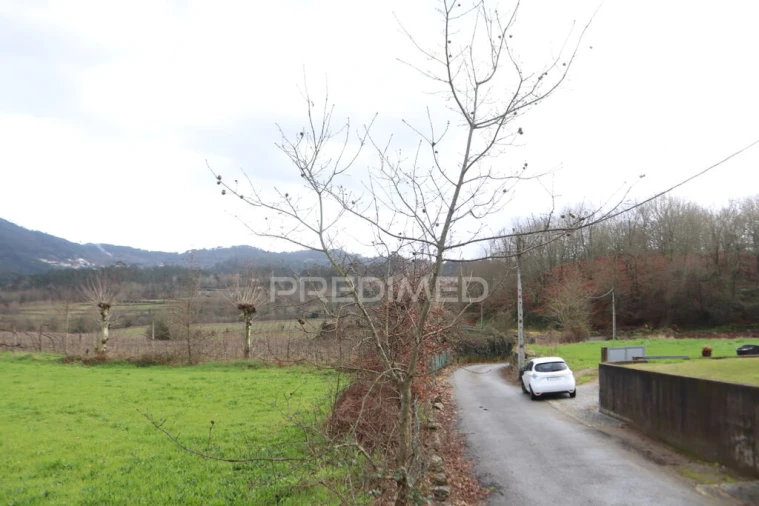 Terreno para Venda em Coucieiro Foto 5