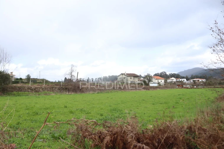 Terreno para Venda em Coucieiro Foto 10