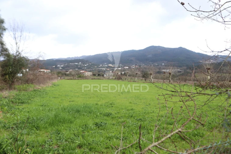 Terreno para Venda em Coucieiro Foto 3