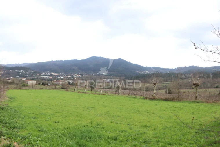 Terreno para Venda em Coucieiro Foto 4