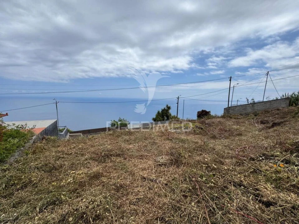 Terreno para Venda em Funchal (São Pedro) Foto 13