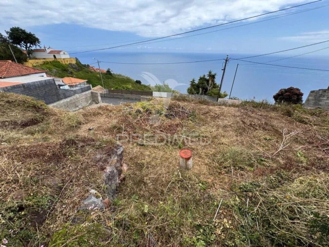 Terreno para Venda em Funchal (São Pedro) Foto 14