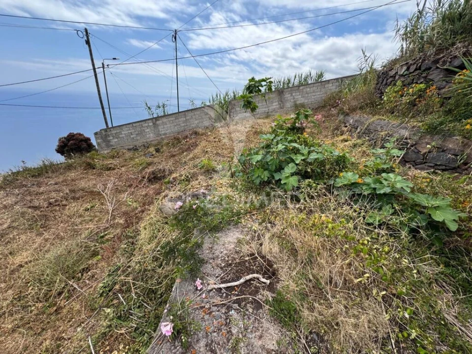 Terreno para Venda em Funchal (São Pedro) Foto 11