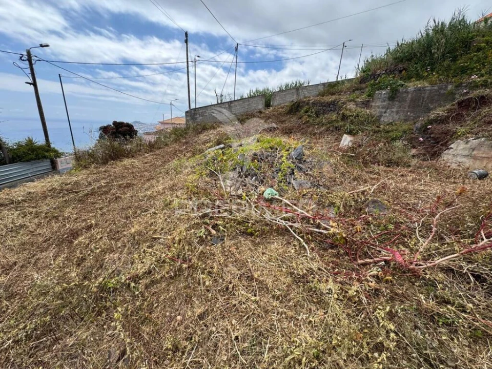 Terreno para Venda em Funchal (São Pedro) Foto 6