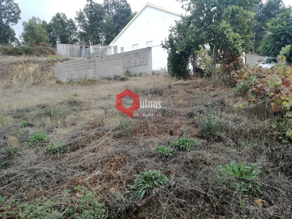 Terreno para Venda em Sabugal e Aldeia de Santo António Foto 31