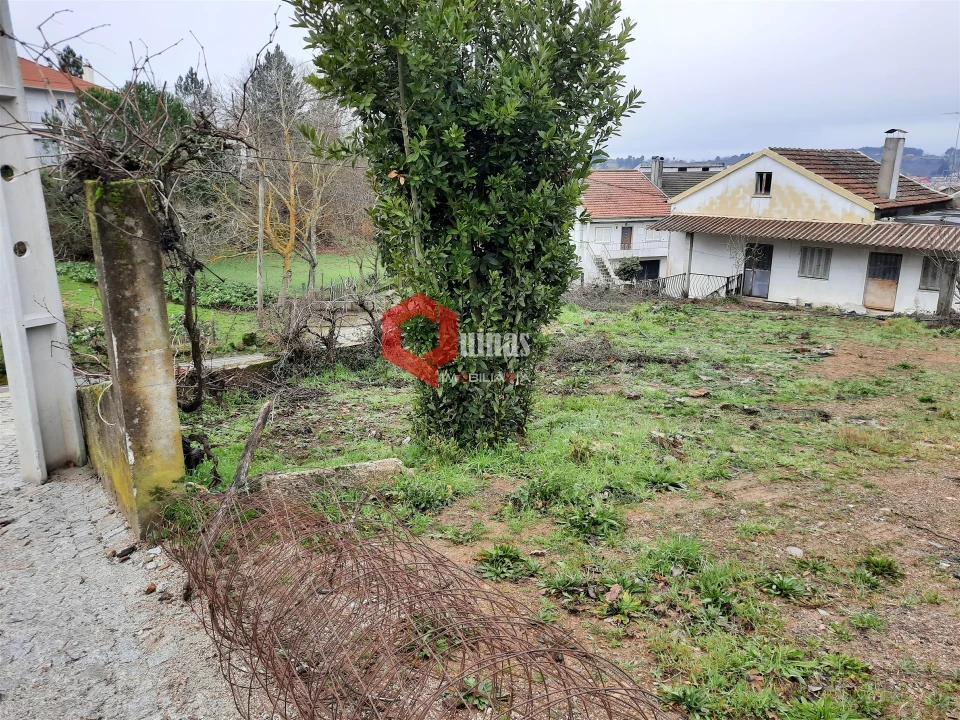 Terreno para Venda em Sabugal e Aldeia de Santo António Foto 3