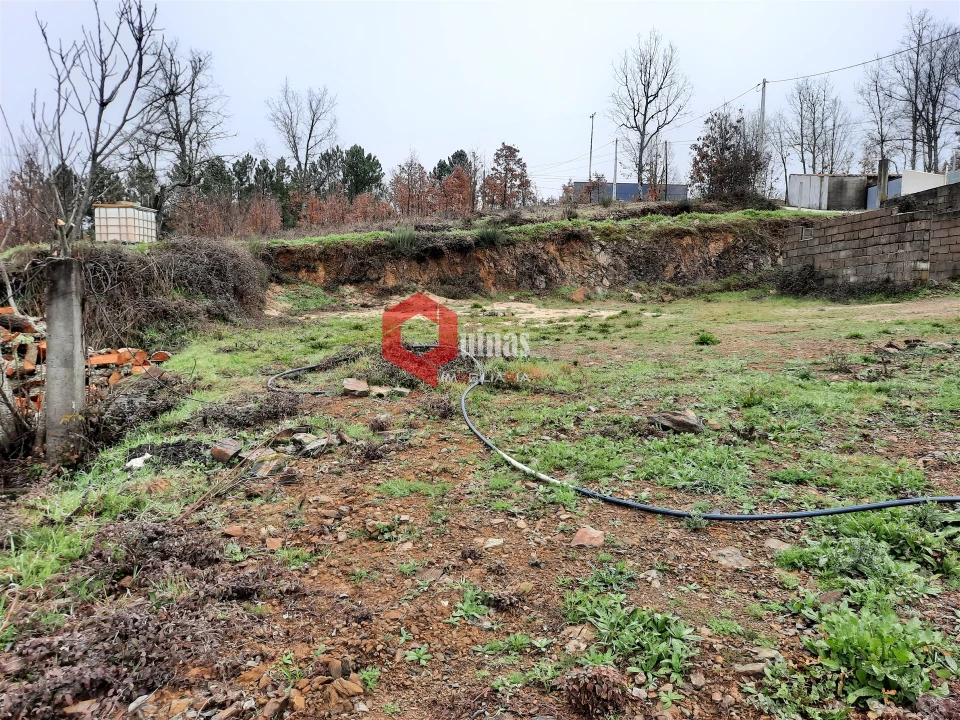 Terreno para Venda em Sabugal e Aldeia de Santo António Foto 5