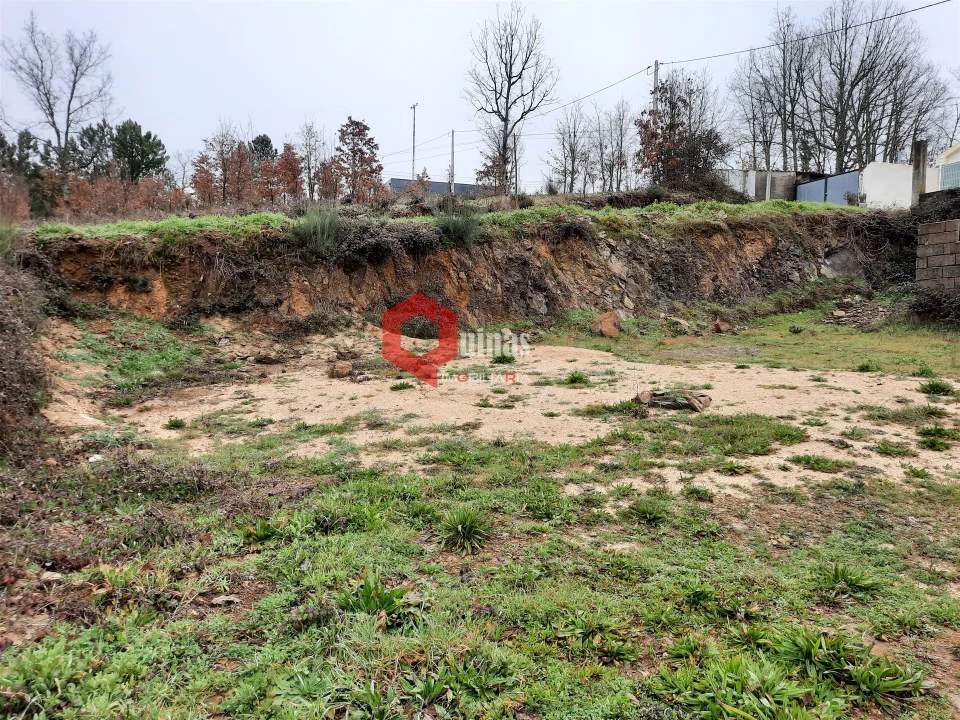 Terreno para Venda em Sabugal e Aldeia de Santo António Foto 8