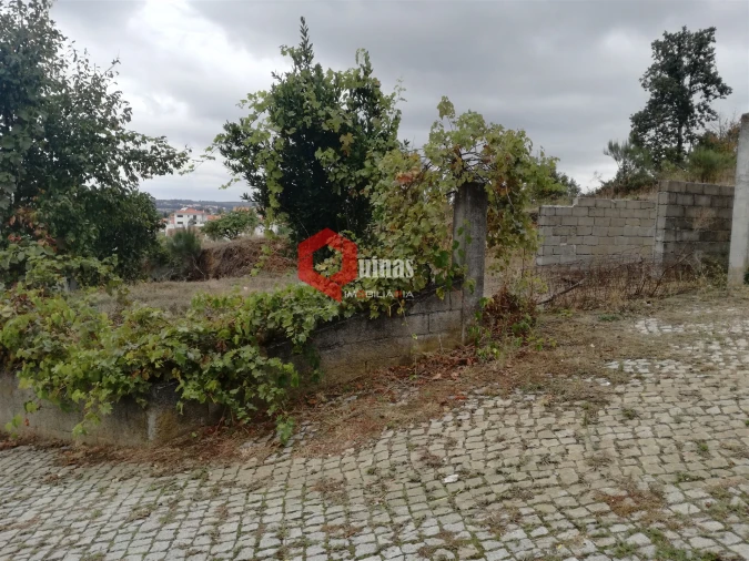 Terreno para Venda em Sabugal e Aldeia de Santo António Foto 22