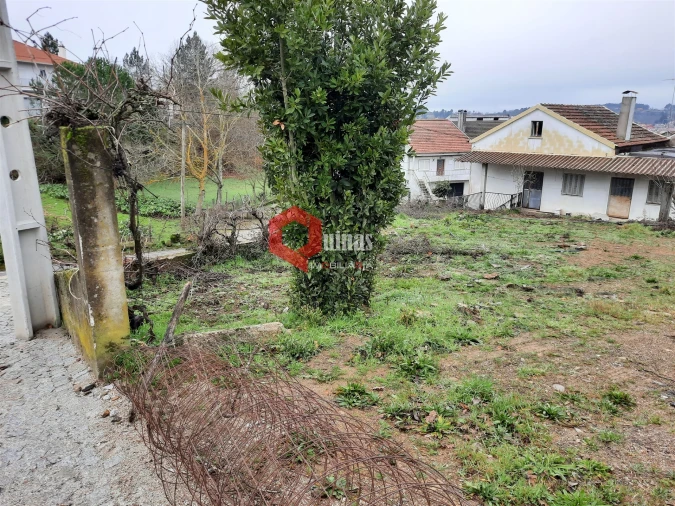 Terreno para Venda em Sabugal e Aldeia de Santo António Foto 3
