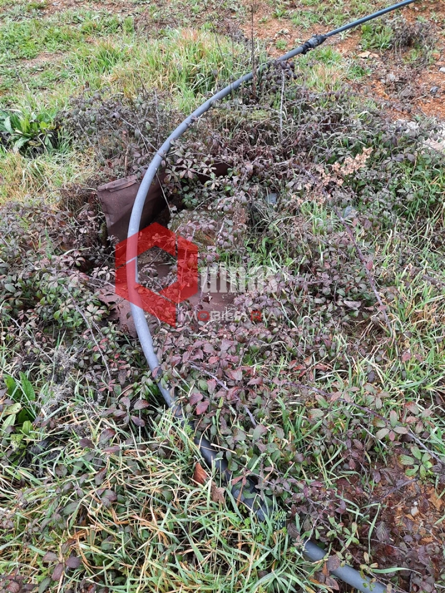 Terreno para Venda em Sabugal e Aldeia de Santo António Foto 7