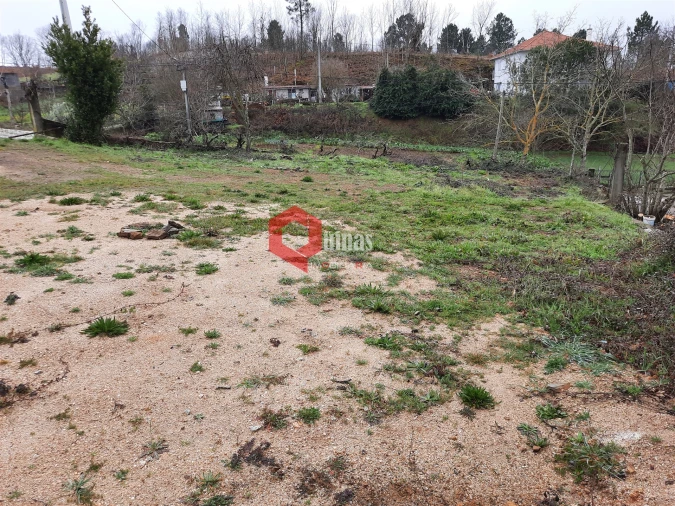 Terreno para Venda em Sabugal e Aldeia de Santo António Foto 10