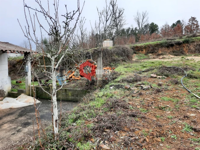 Terreno para Venda em Sabugal e Aldeia de Santo António Foto 4