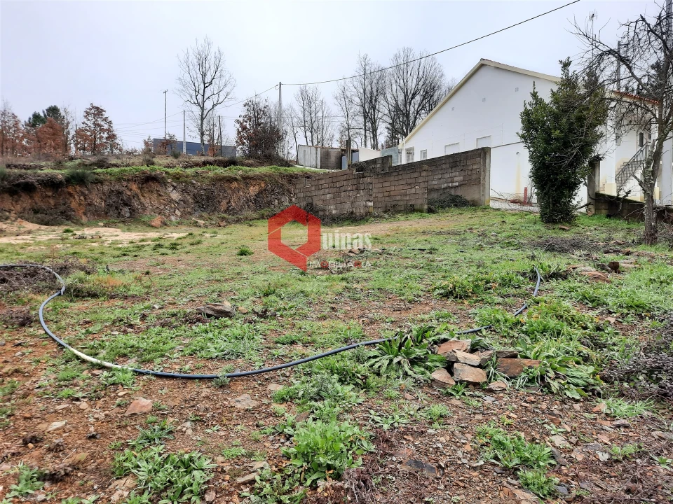 Terreno para Venda em Sabugal e Aldeia de Santo António Foto 6