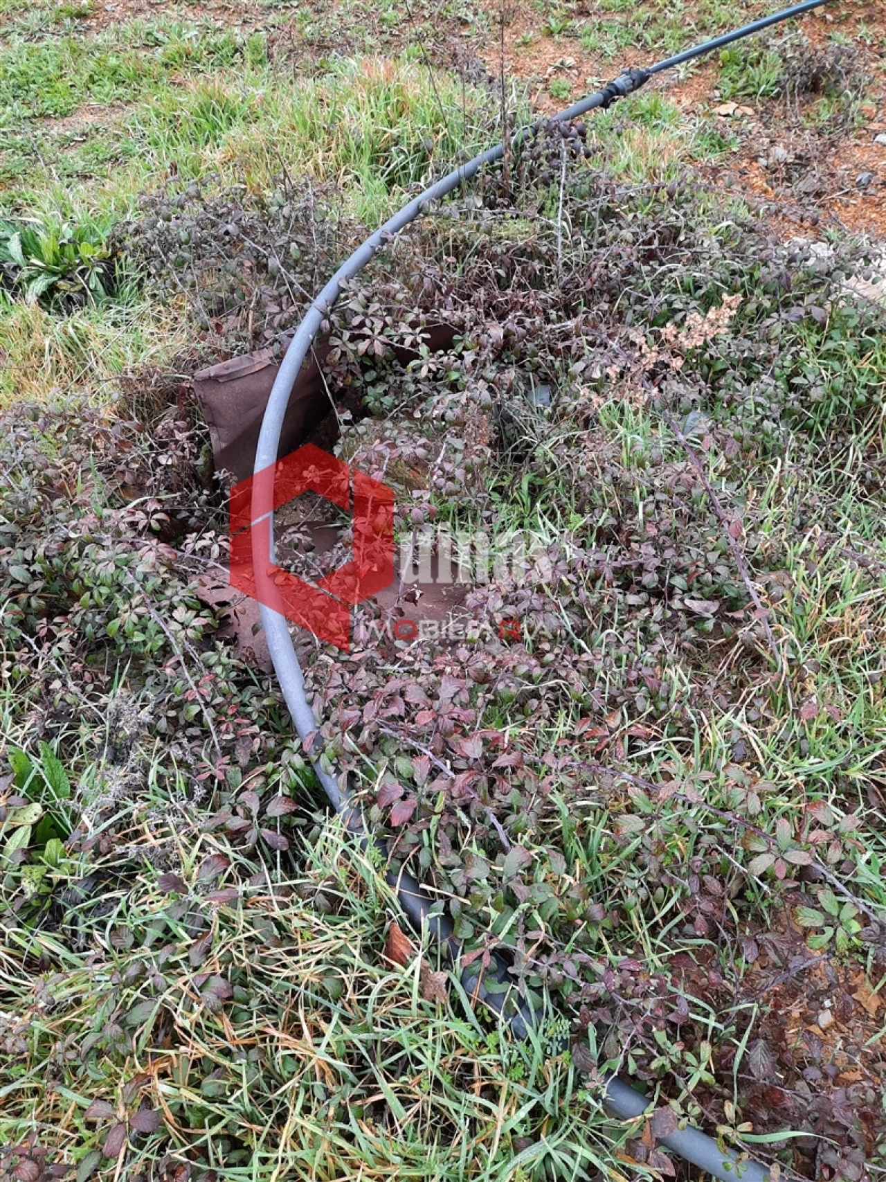 Terreno para Venda em Sabugal e Aldeia de Santo António Foto 7